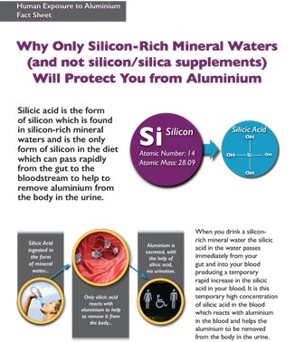 Silicon Fact Sheet